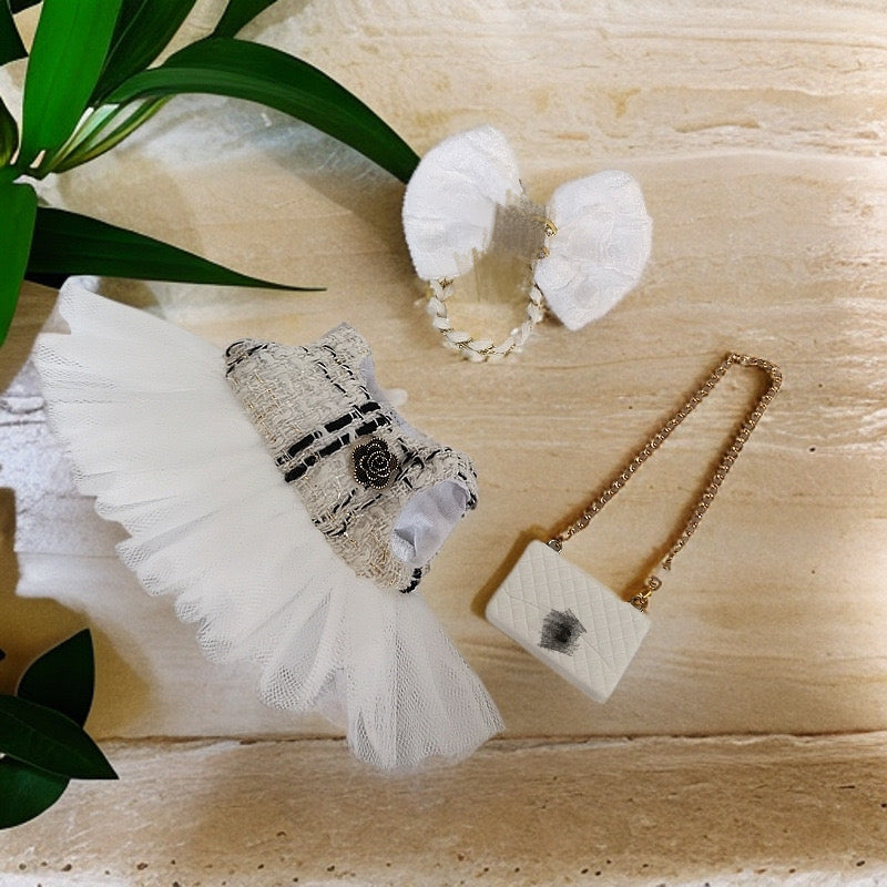 CC Fancy Dress Outfit