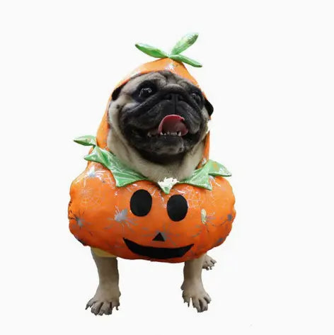 Halloween Pumpkin Dog Costume with Hood for Dogs