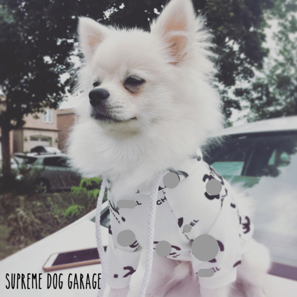 CoCo Designer Dog Hoodie