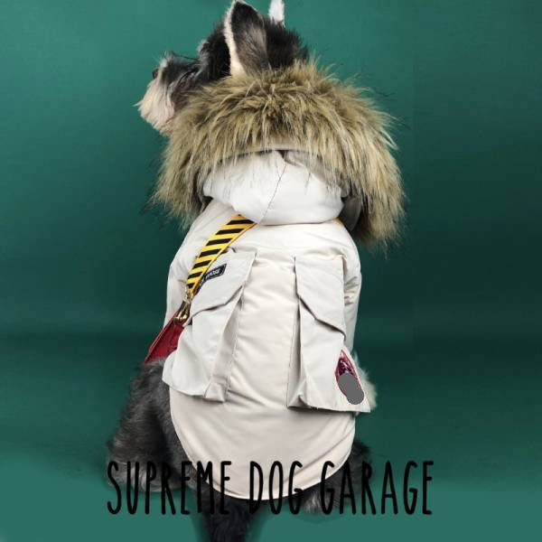 Canada Pooch Northern Hemisphere Explorer Dog Parka Coat