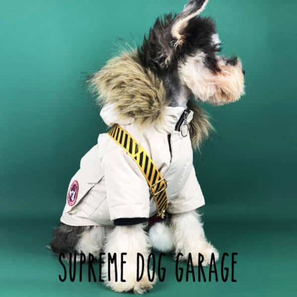 Canada Pooch Northern Hemisphere Explorer Dog Parka Coat