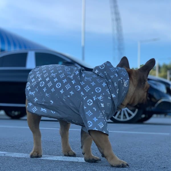 Pawtton Reflective Raincoat With Hood For Dogs
