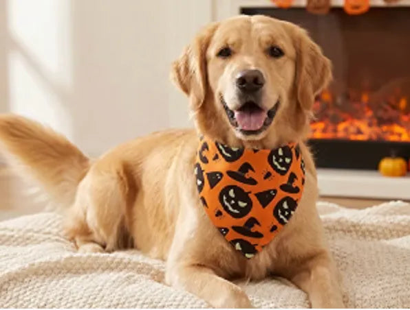 Fall Dog Bandanas 2PCS Halloween Pumpkin Spider Web Large Dogs