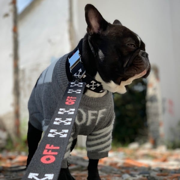 OFF Gray Wool Dog Sweater