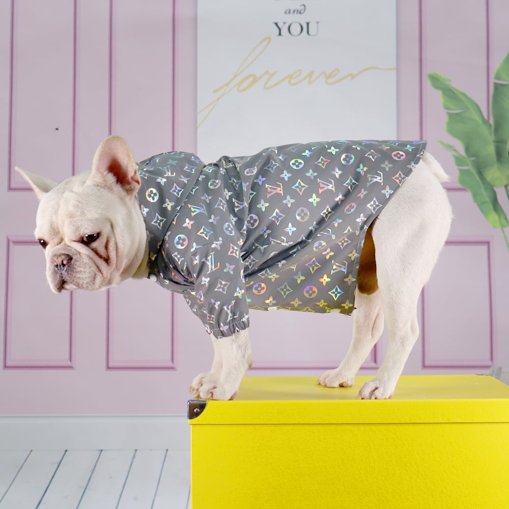 Pawtton Reflective Raincoat With Hood For Dogs