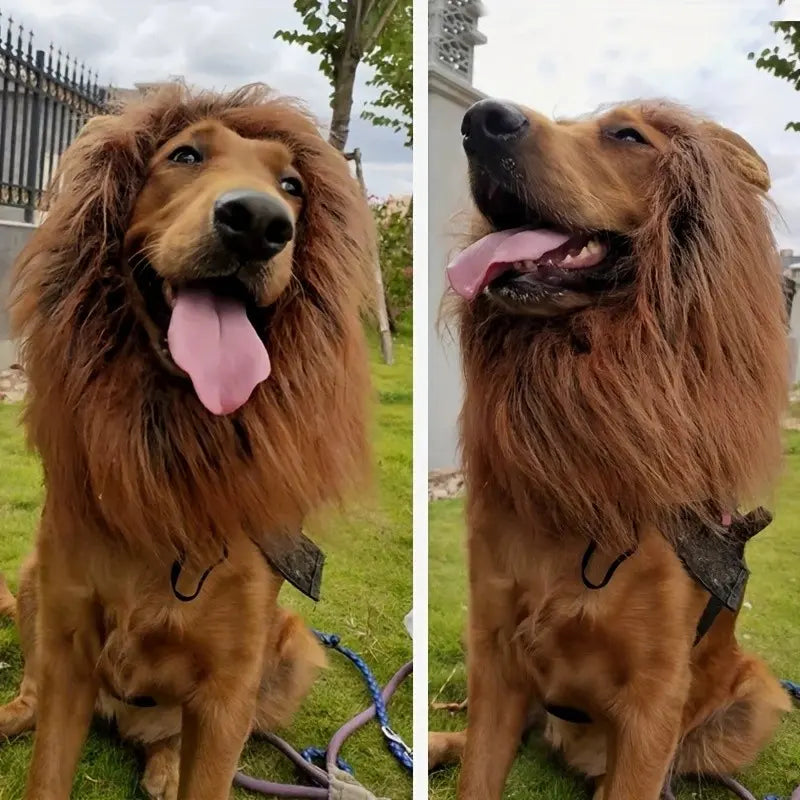Lion Mane Dog Costume, Lion Mane Wig for Medium to Large Dogs, Halloween for Big Dogs, Fun Pet Dress-Up Gear
