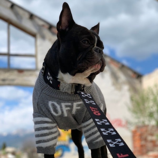 OFF Gray Wool Dog Sweater