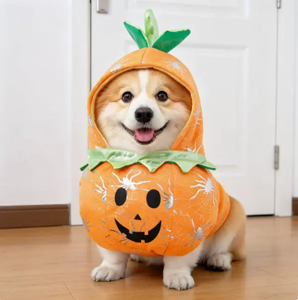 Halloween Pumpkin Dog Costume with Hood for Dogs