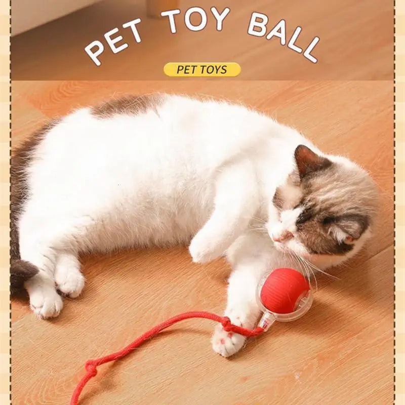Automatic Cat Toy Ball C02 USB Smart Interactive Ball (Flame Red)