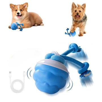 Interactive Motion Activated Dog Toy Ball, Blue