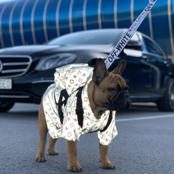 Pawtton Reflective Raincoat With Hood For Dogs