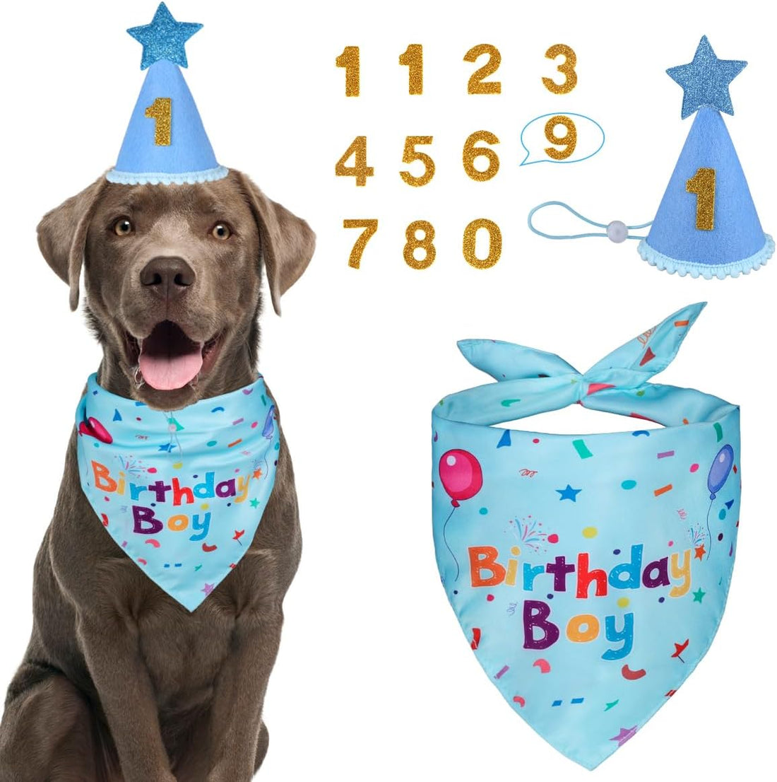 Dog Birthday Party Supplies,Dog Birthday Bandana,Dog Birthday Hat