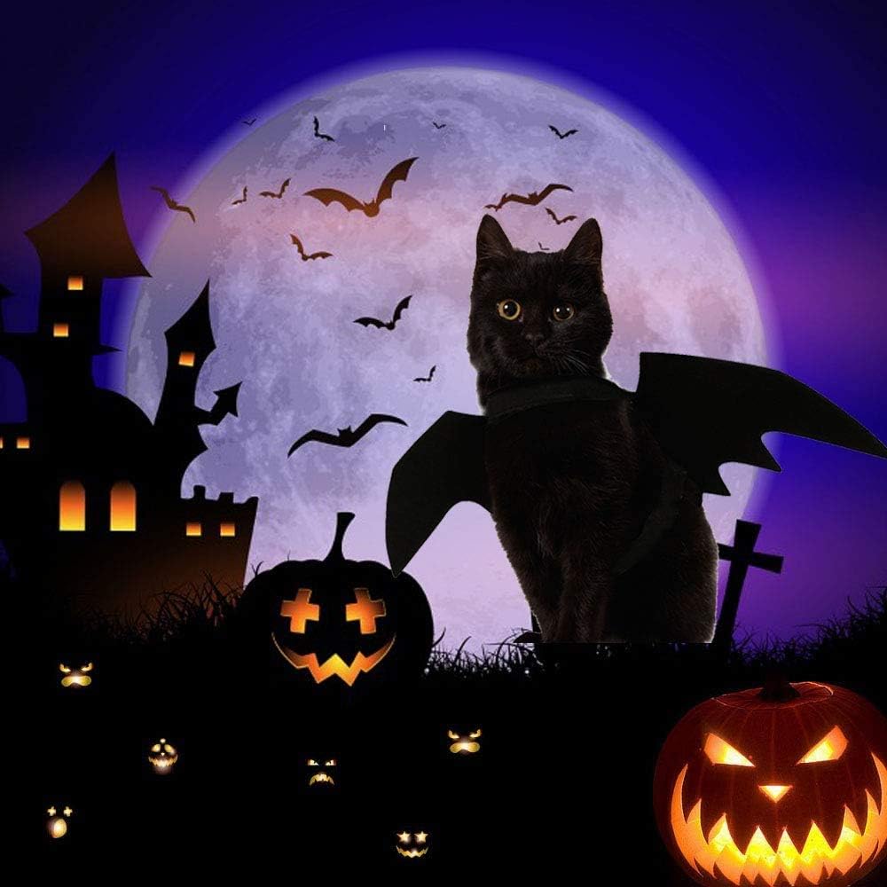 Cat Halloween Costume Bat Wing Pet Apparel for Small Dog Puppy Kitty Kitten
