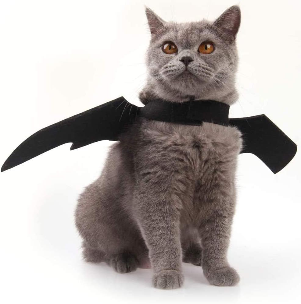 Cat Halloween Costume Bat Wing Pet Apparel for Small Dog Puppy Kitty Kitten