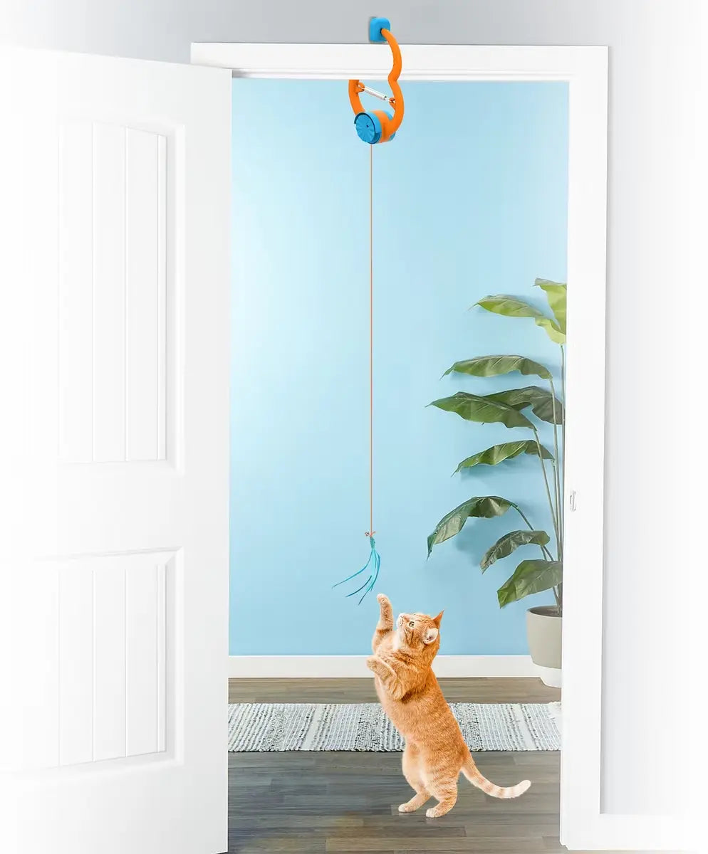 Allforpaws Interactive Cat Toy for Indoor Cats with Feather Teaser