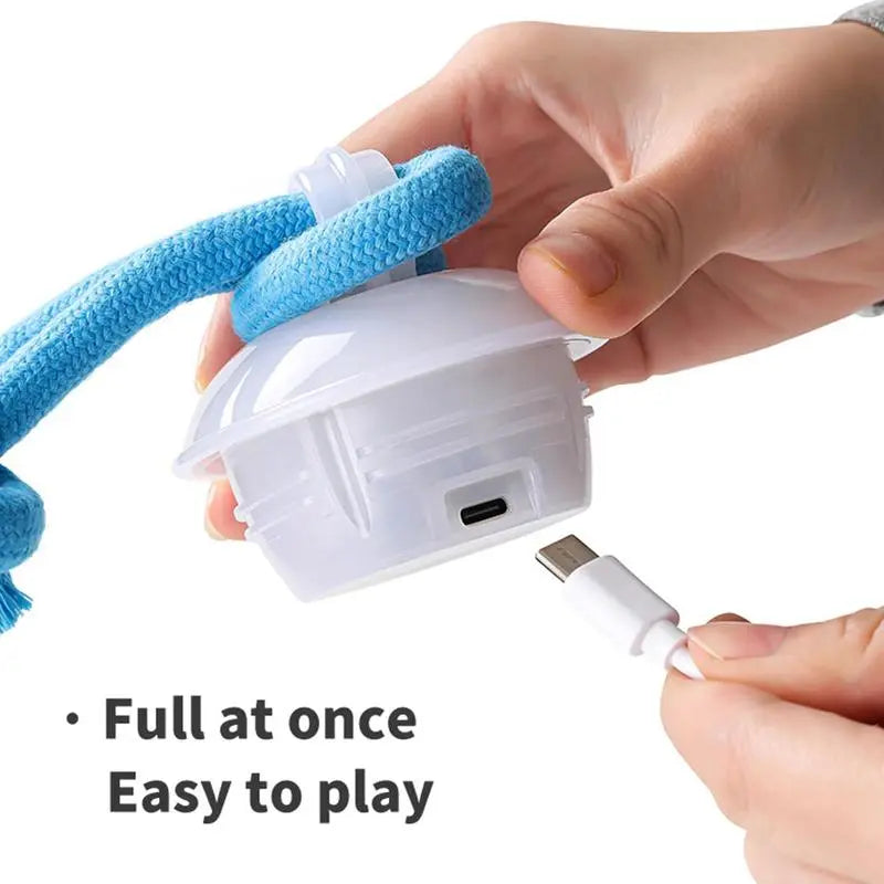 Interactive Motion Activated Dog Toy Ball, Blue