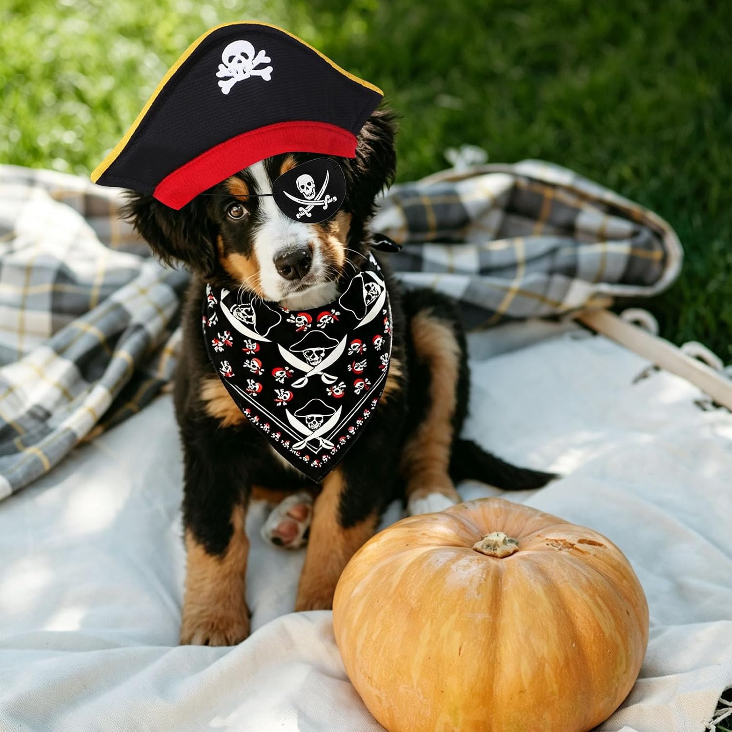 Costume de pirate pour chien - Costume d'Halloween amusant - Chapeau et bandana pour Halloween, Noël, chien, chat, cosplay, cadeau de rôle - Fournitures de fête à thème