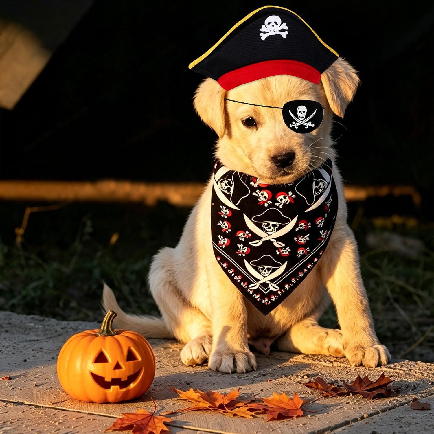 Costume de pirate pour chien - Costume d'Halloween amusant - Chapeau et bandana pour Halloween, Noël, chien, chat, cosplay, cadeau de rôle - Fournitures de fête à thème