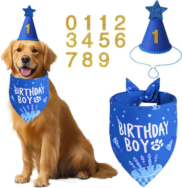 Blue Dog Birthday Party Supplies with Hat Bandana Numbers