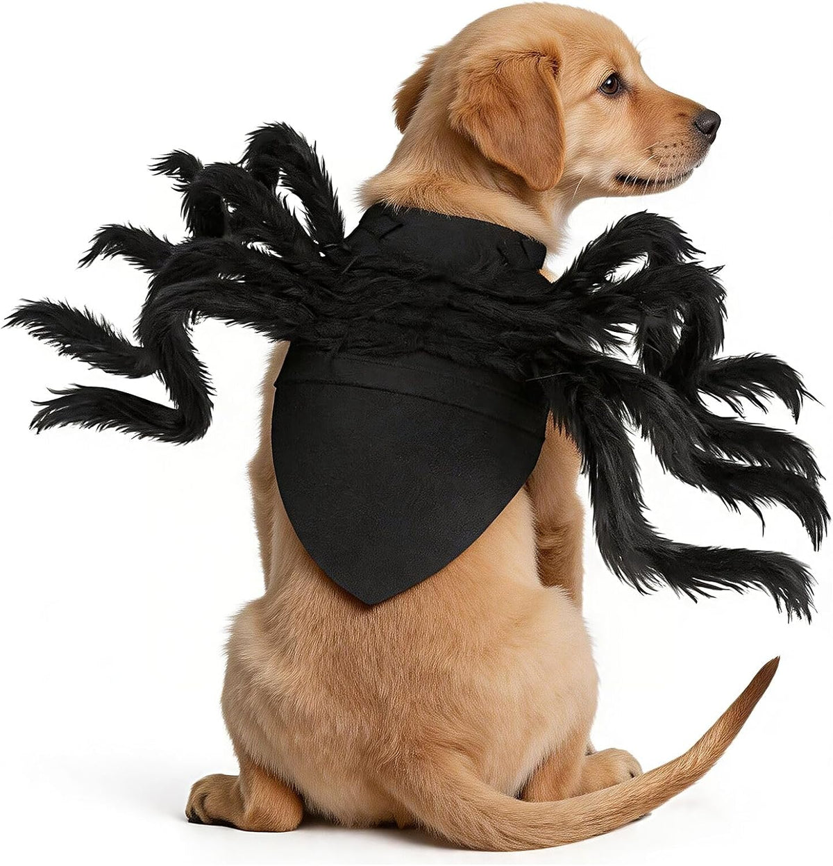 Halloween Spider Costume for Dog Cat, Halloween Pet Costume Halloween Decorations, Spider Decor Halloween Party Supply, Spider Cosplay Costumes with Adjustable Velcro for Small Medium Dogs and Cats