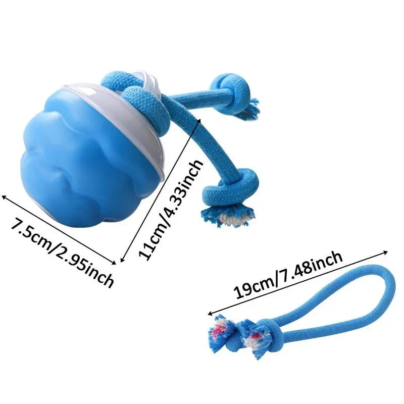 Interactive Motion Activated Dog Toy Ball, Blue