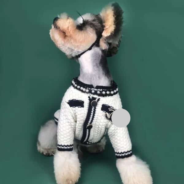 CC Knitted Designer Dog Sweater