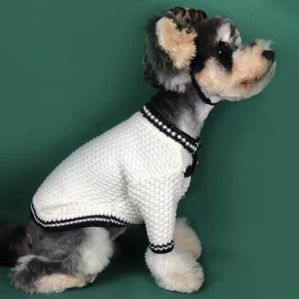 CC Knitted Designer Dog Sweater