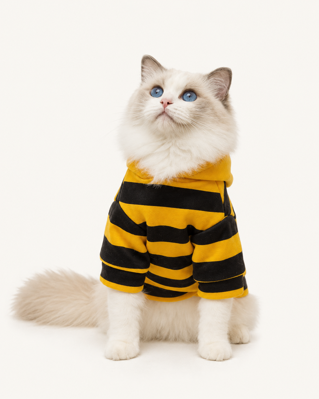 Bee Cat Hoodie