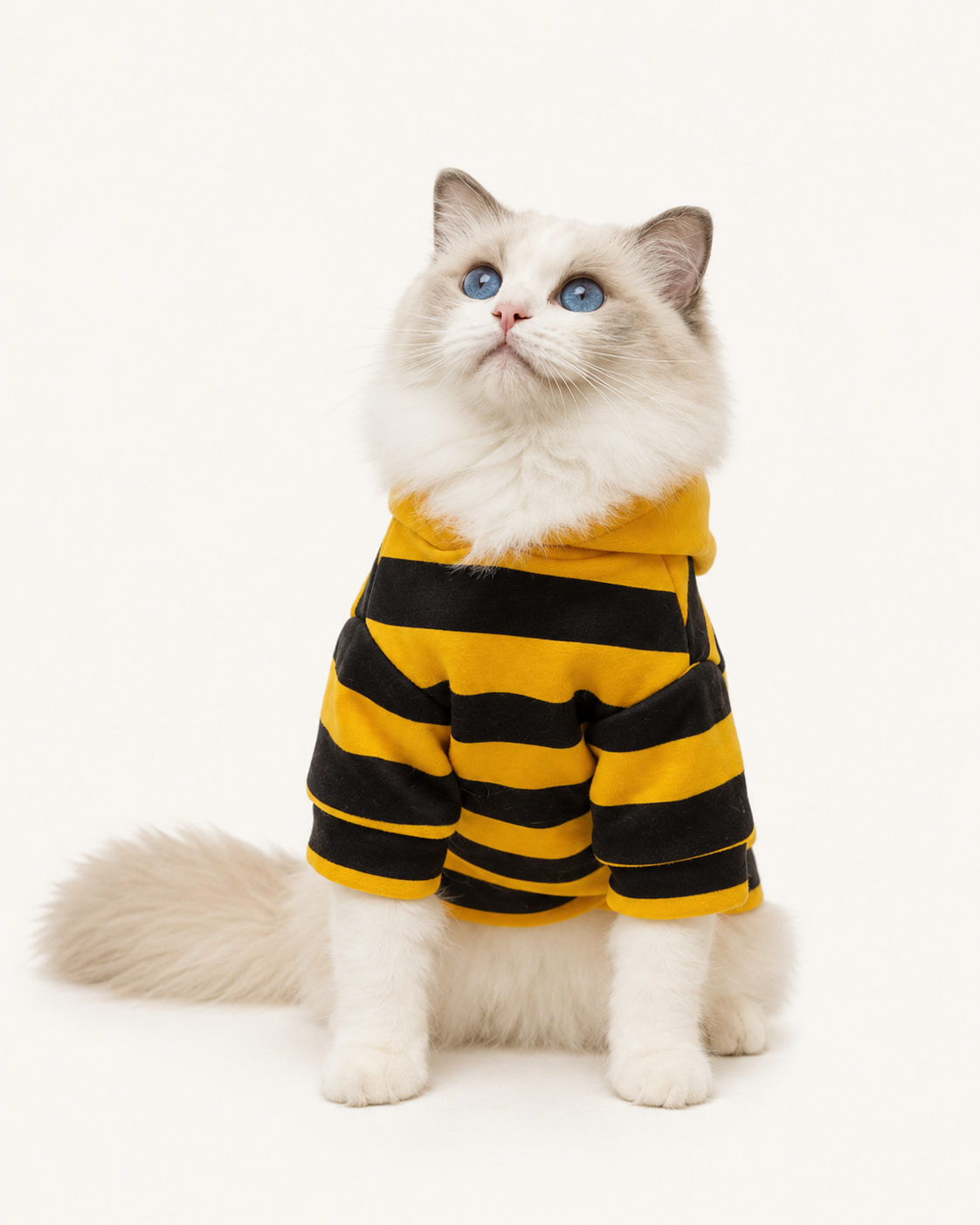 Bee Cat Hoodie