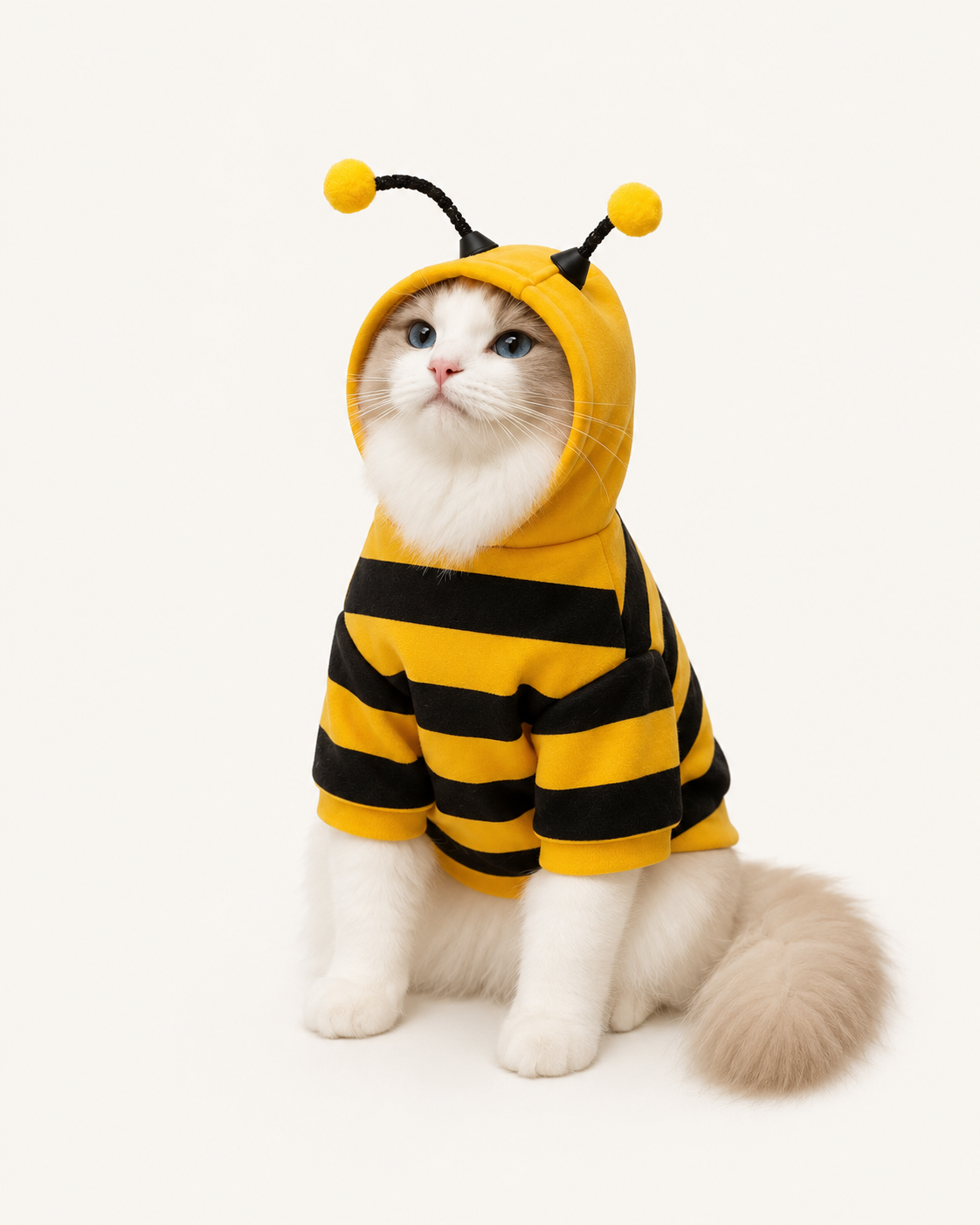 Bee Cat Hoodie