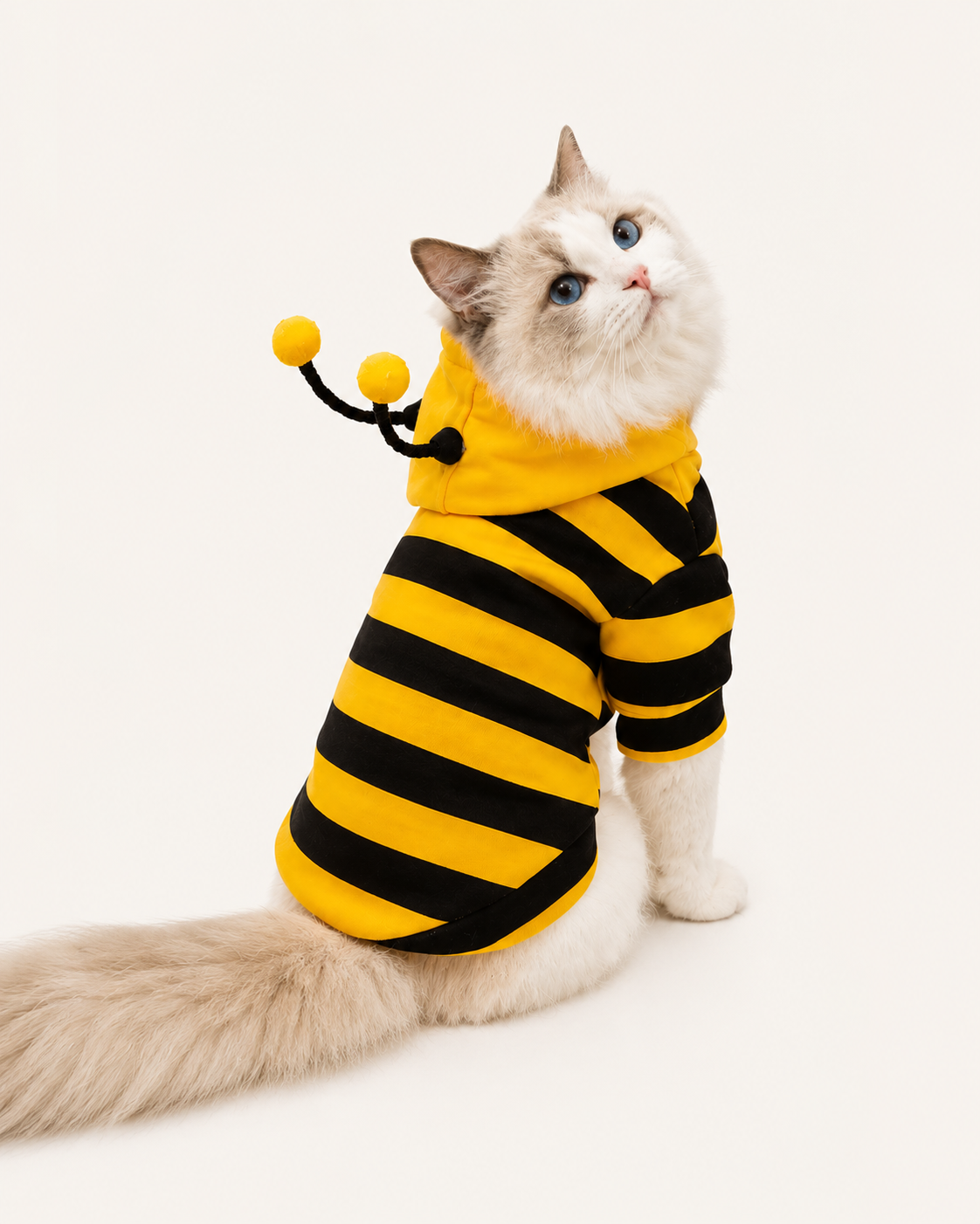 Bee Cat Hoodie