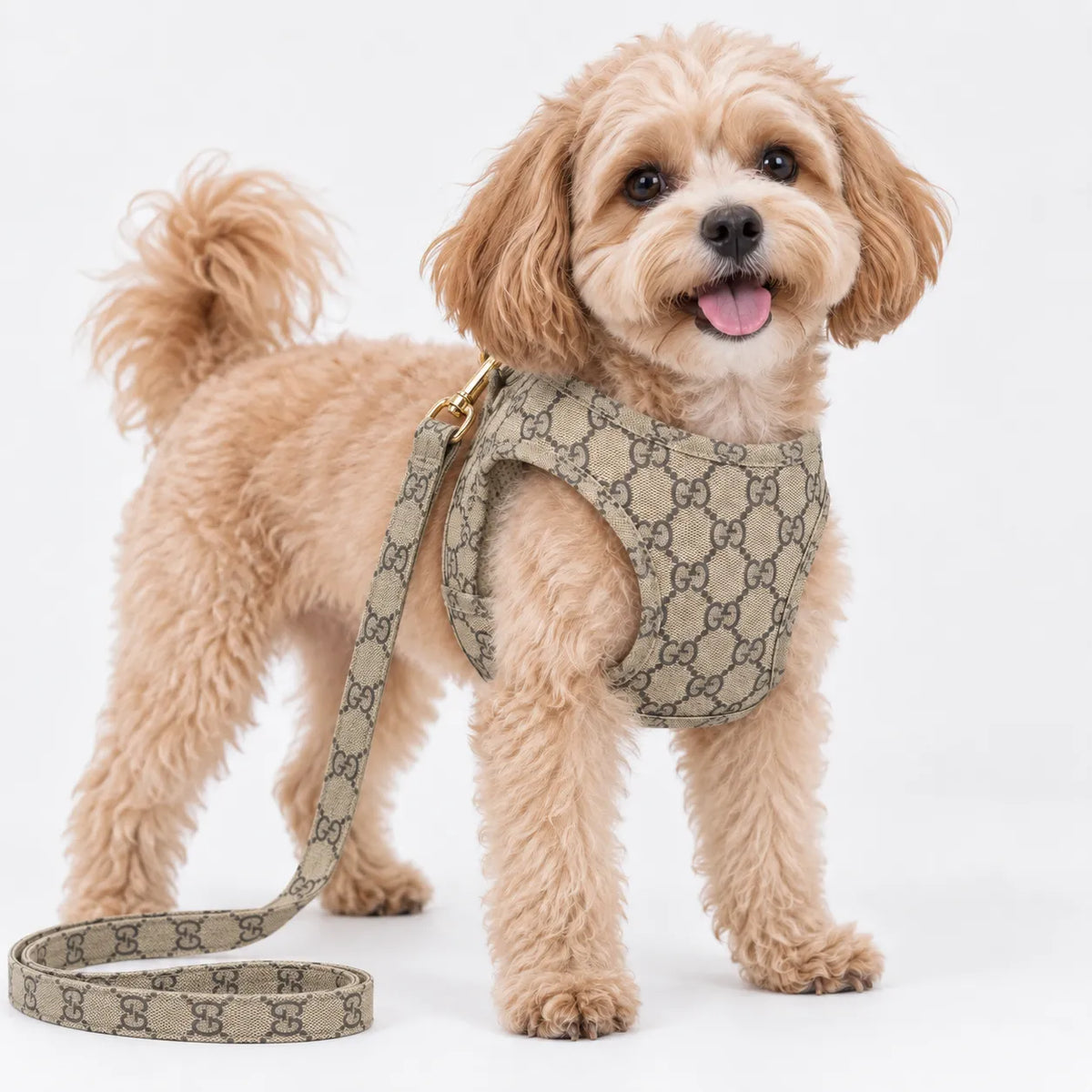 Trendy Dog Harness & Leash Set – GG Letter Print Vest for Small Dogs Designer