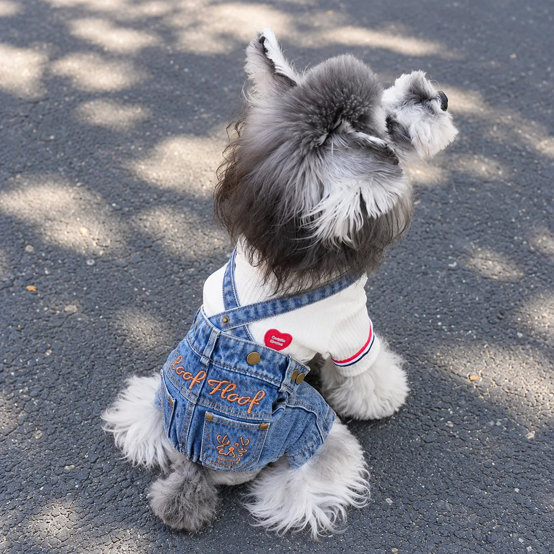 Denim Overall Pet Outfit