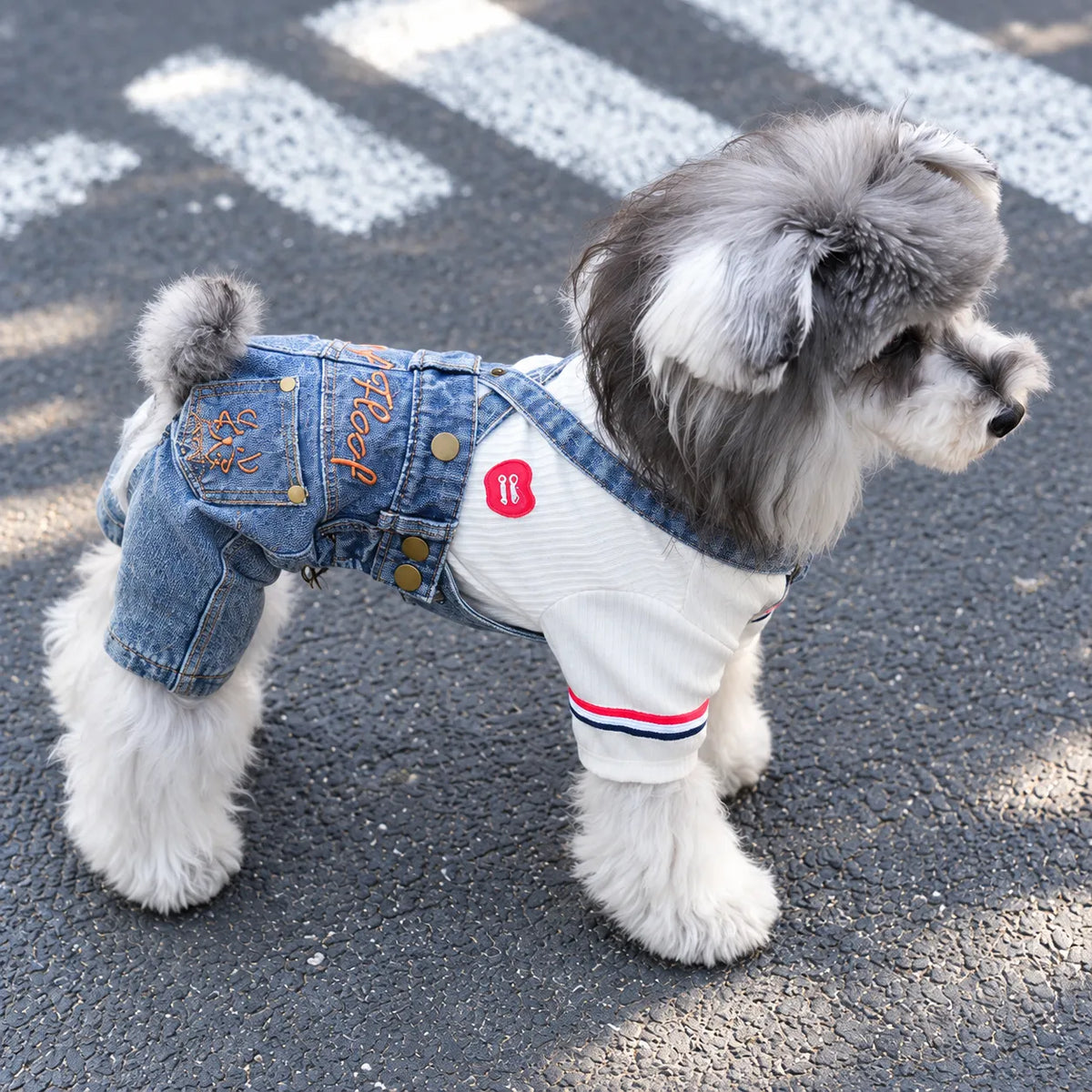 Denim Overall Pet Outfit