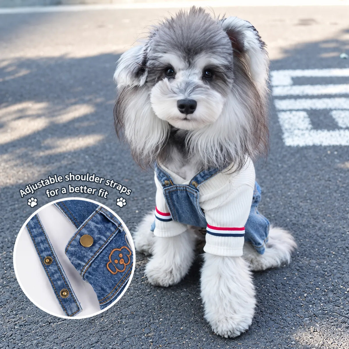 Denim Overall Pet Outfit