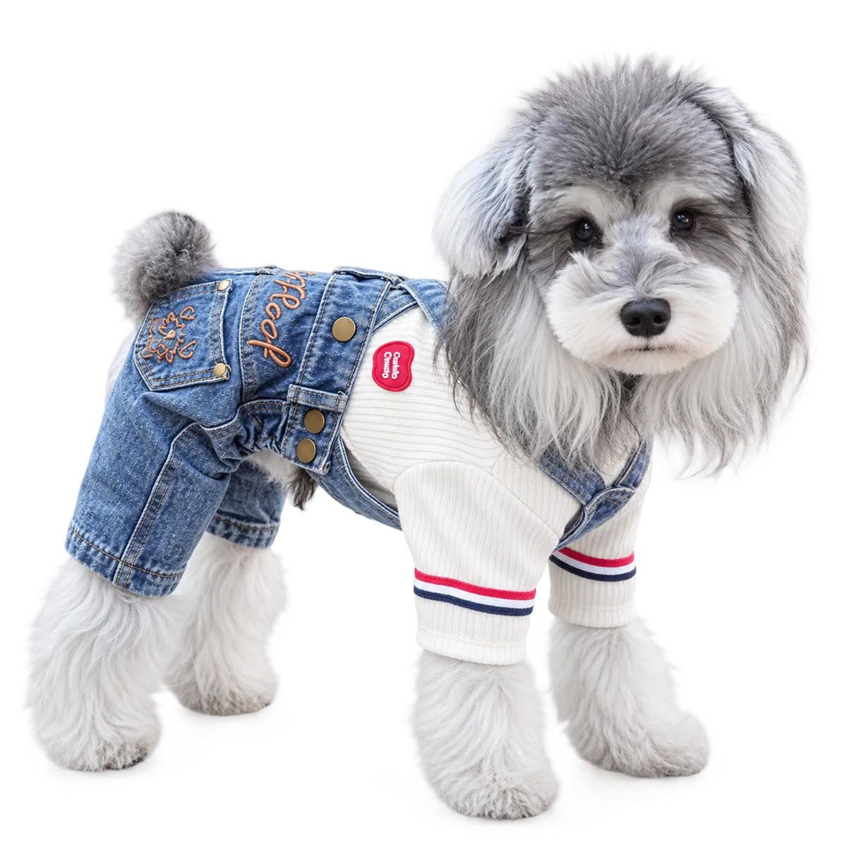 Denim Overall Pet Outfit