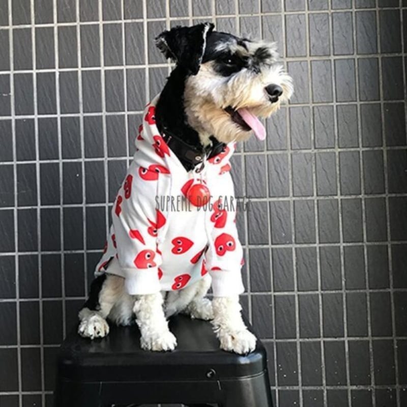 Comme des Pawcons Red Hearts Cute Dog Hoodie