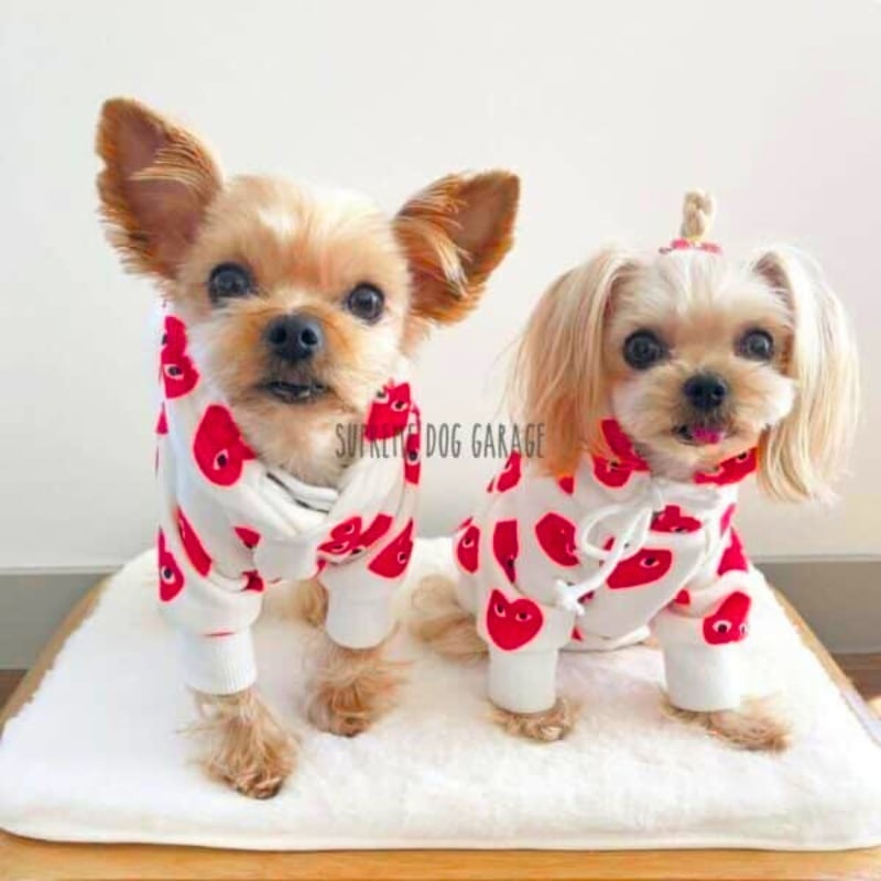 Comme des Pawcons Red Hearts Cute Dog Hoodie