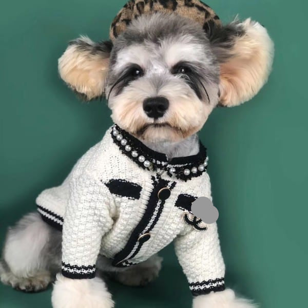 CC Knitted Designer Dog Sweater