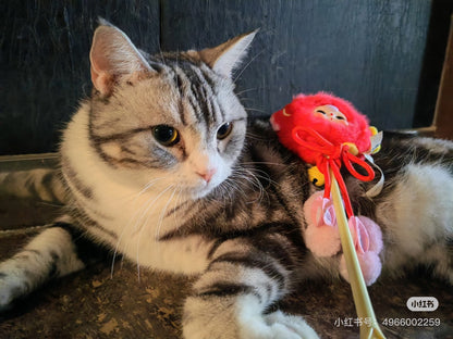 [baby three]Cat teasing stick