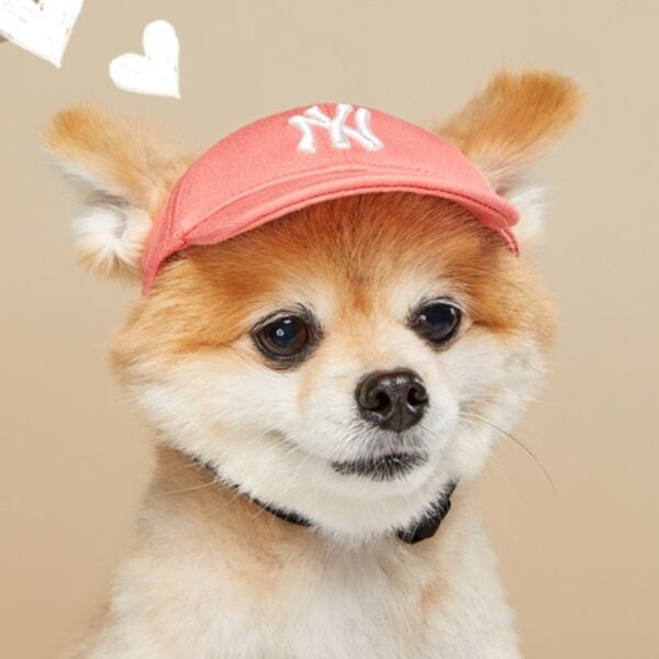 NY Dog Baseball Cap
