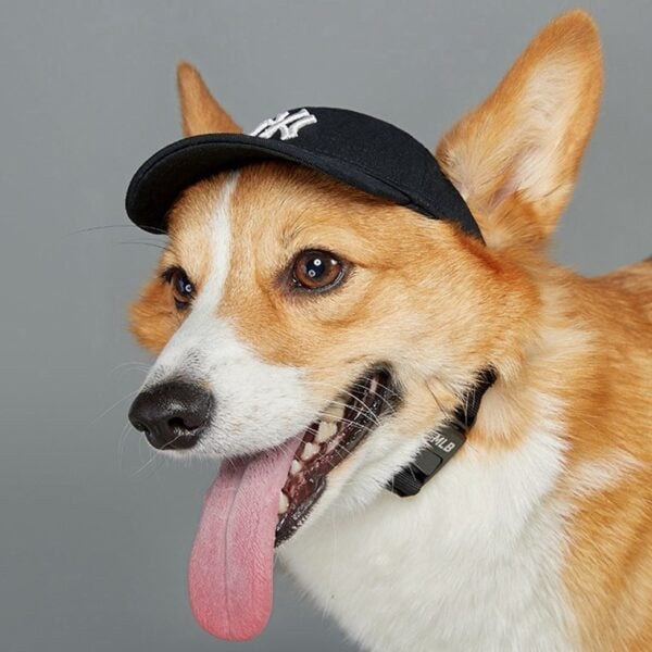 NY Dog Baseball Cap