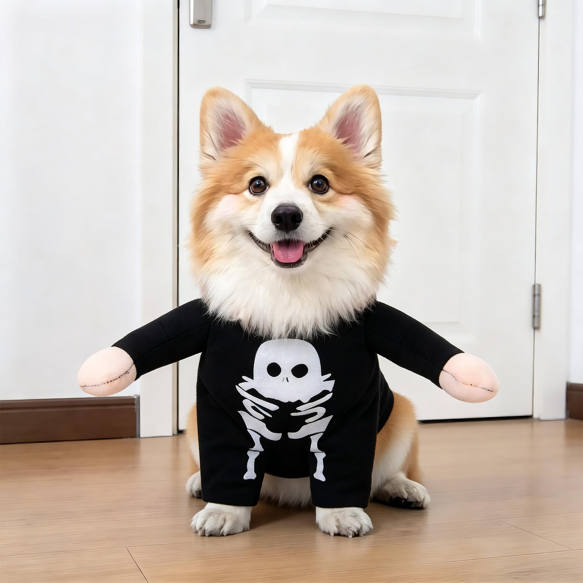 Funny Halloween Pet Costume – Cozy Character Dress-Up Outfit for Dogs & Cats