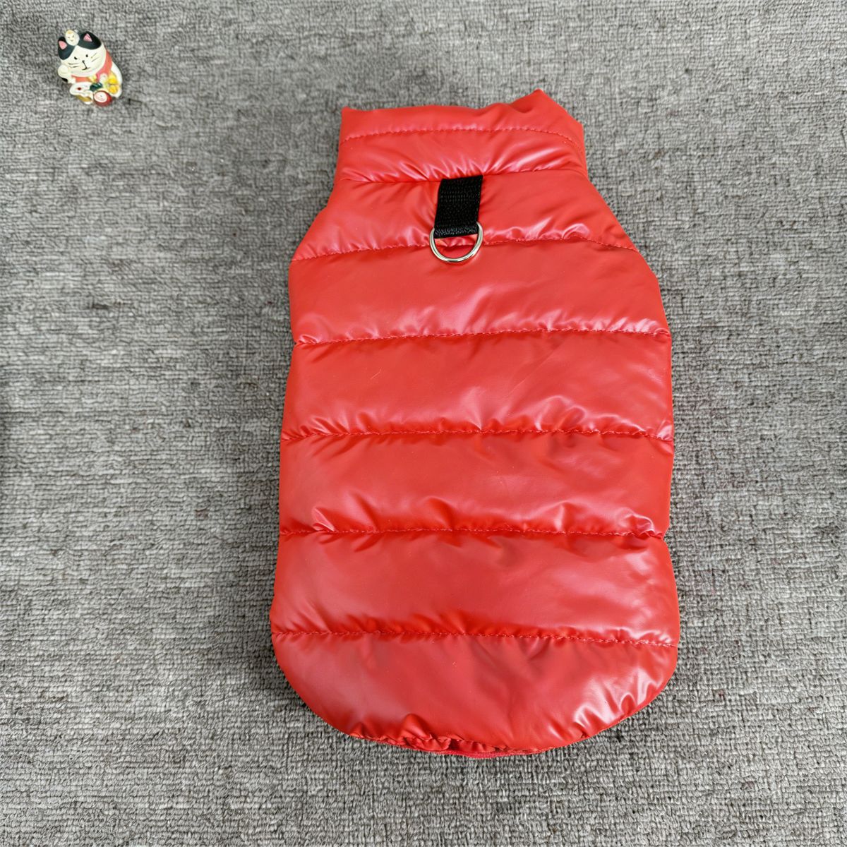 Winter pet dog cotton coat, warm dog clothes, winter clothing, small dog glossy pet cotton jacket, new cotton coat, winter