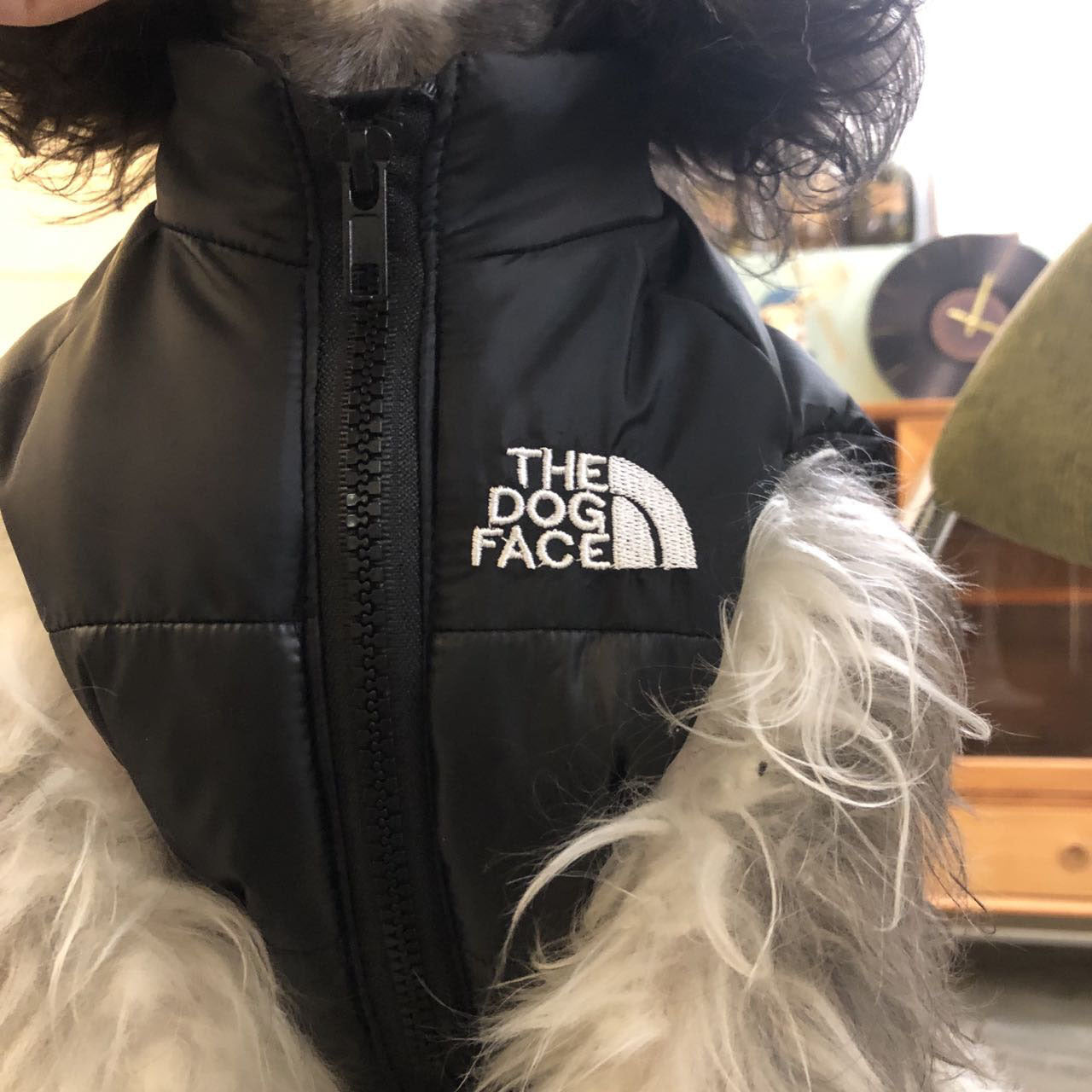Autumn and winter pet dog clothes Teddy Schnauzer dog small dog thickened warm dog coat vest vest clothing