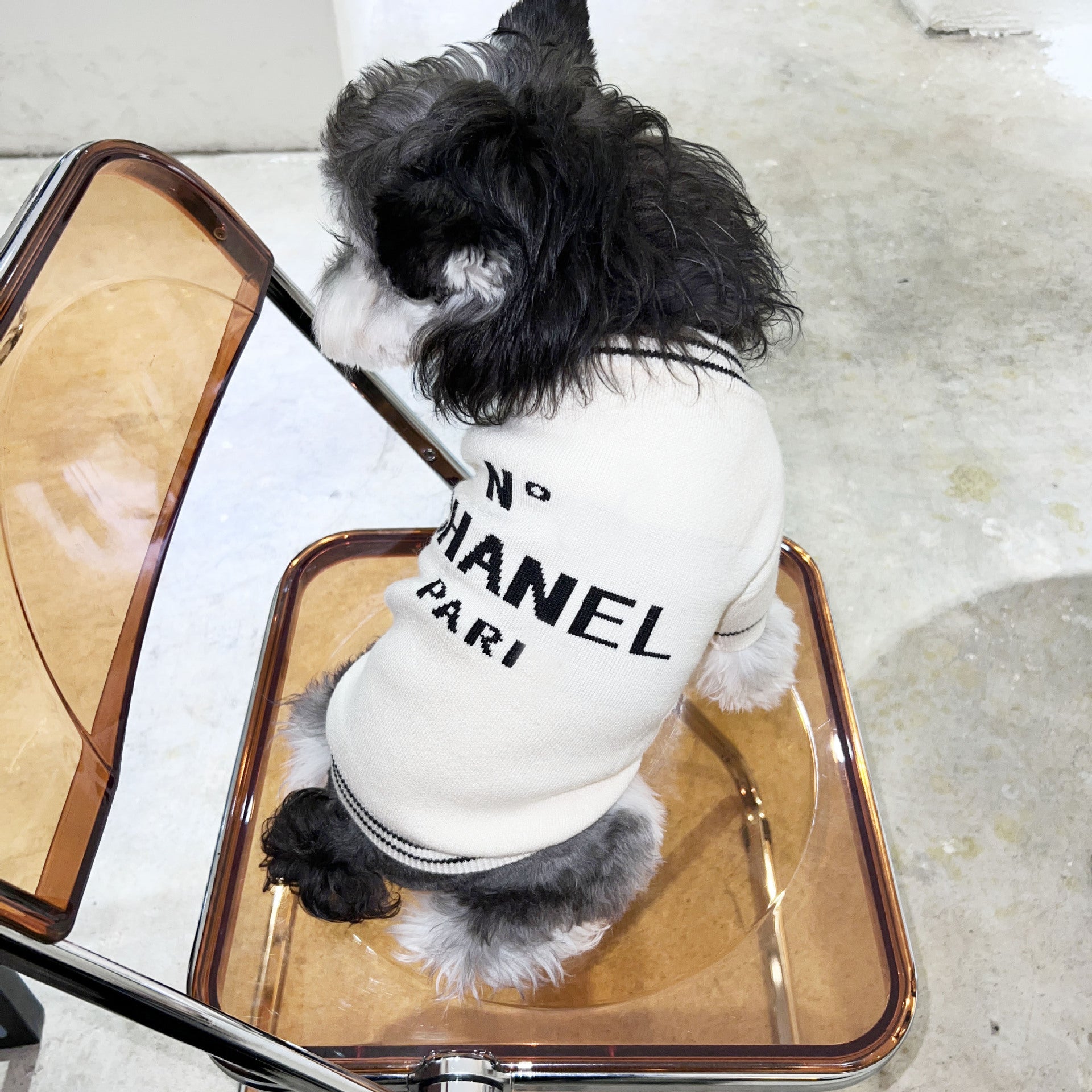 Cross-border new autumn and winter dog sweater knitted Xiaoxiang pet clothes Teddy cat Schnauzer Pomeranian Shiba Inu trend