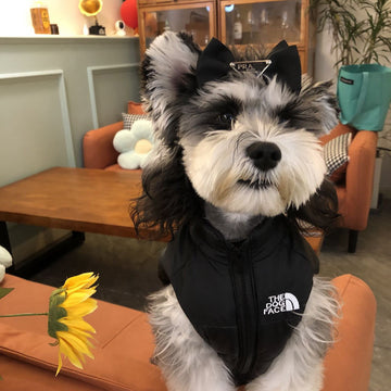 Autumn and winter pet dog clothes Teddy Schnauzer dog small dog thickened warm dog coat vest vest clothing