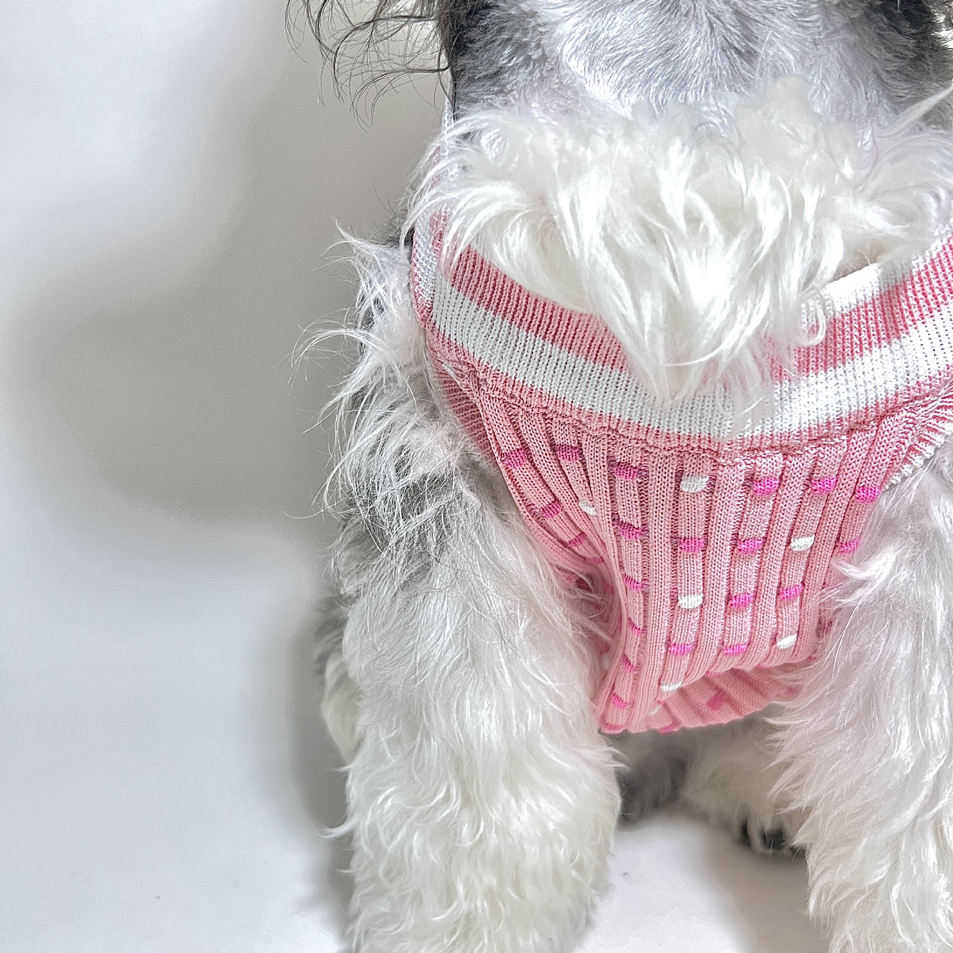 Pet clothes four seasons small fragrance style CC dog sweater trendy brand Teddy Schnauzer French Dou Corgi pet sweater new