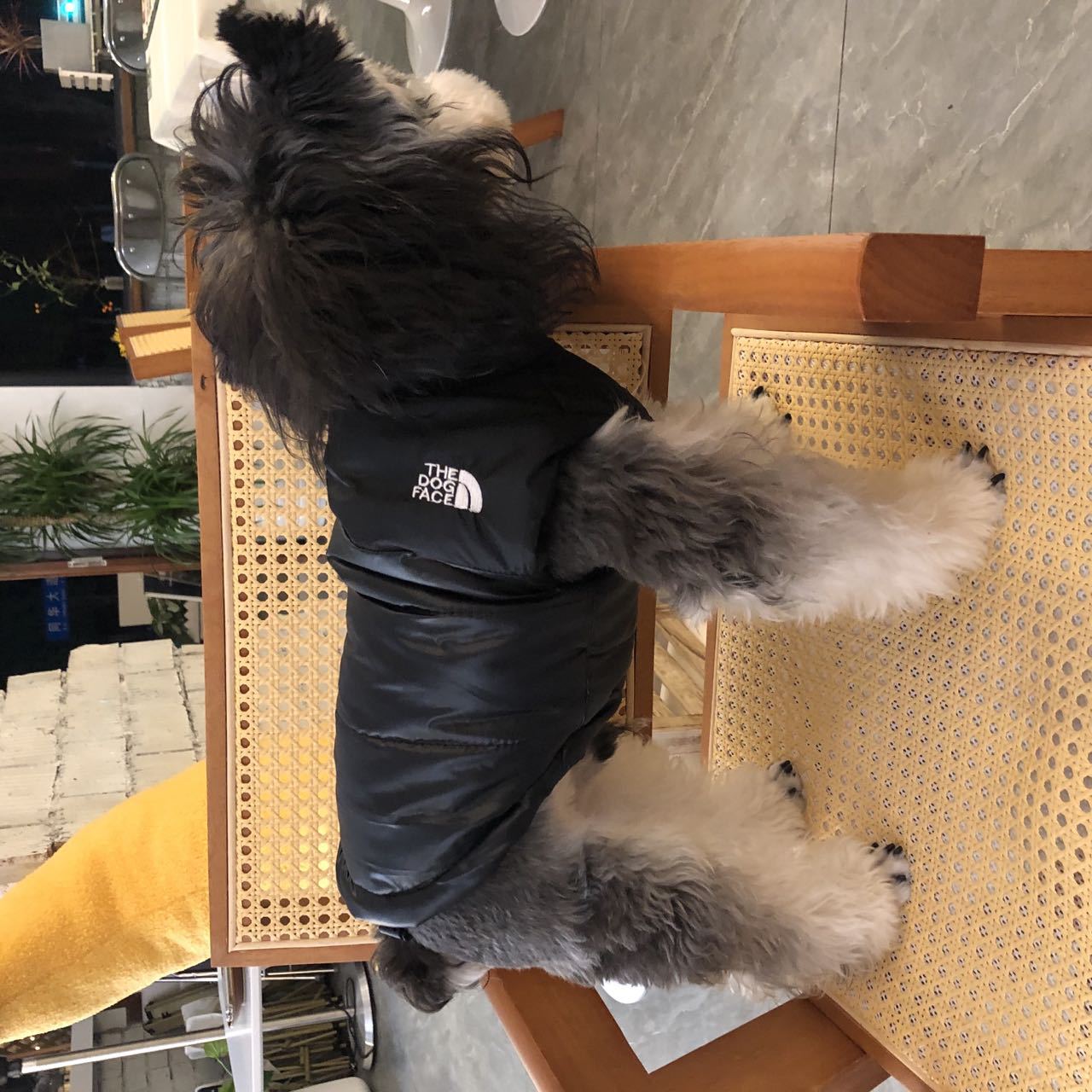 Autumn and winter pet dog clothes Teddy Schnauzer dog small dog thickened warm dog coat vest vest clothing