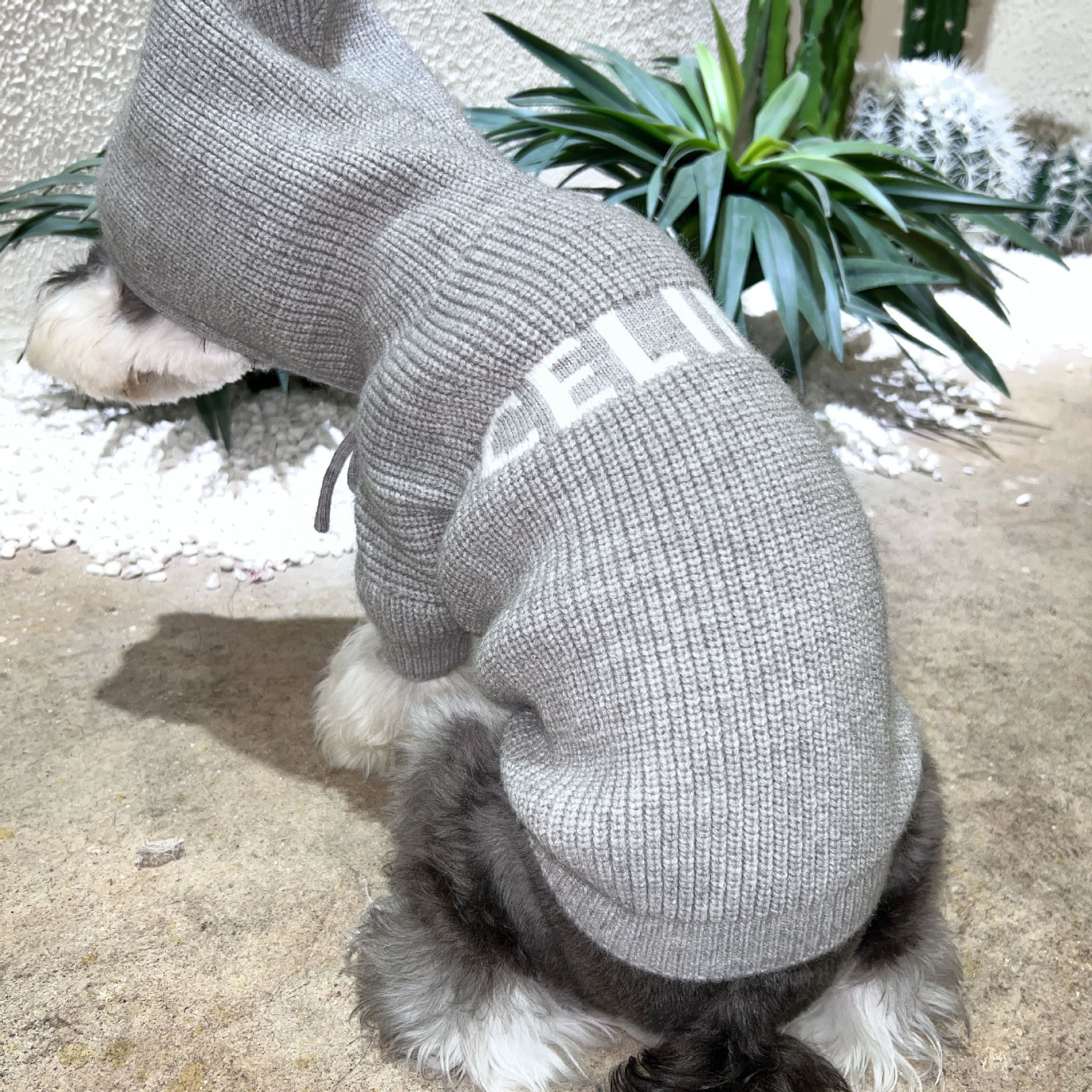 Dog Clothes Autumn Winter Pet Knitted Sweatshirt Shenary Teddy Fight Jacket Teddy Corgi Cat Pet Clothes